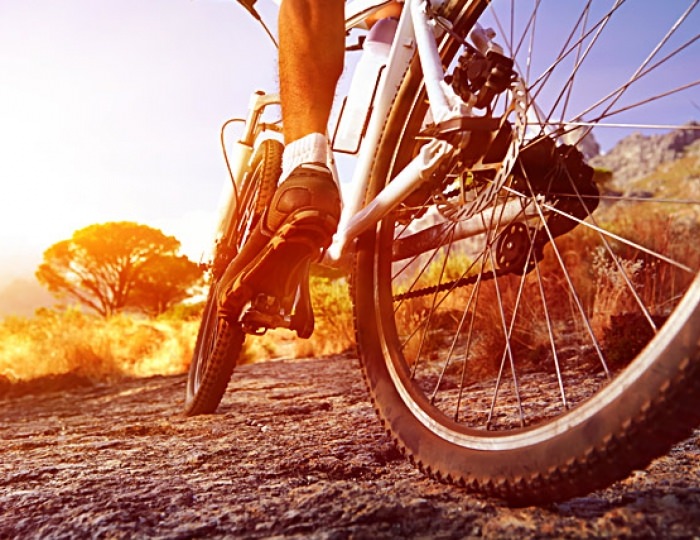 Прокат - Курортный комплекс «Ливадийский»